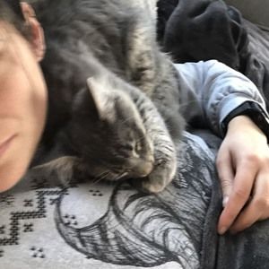 Meet your Posher, Joslin